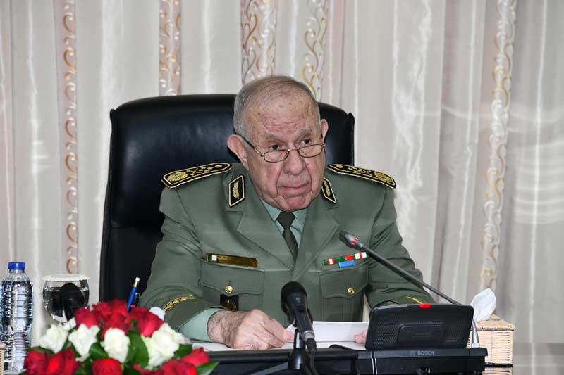 شنقريحة اكتوبر 20024