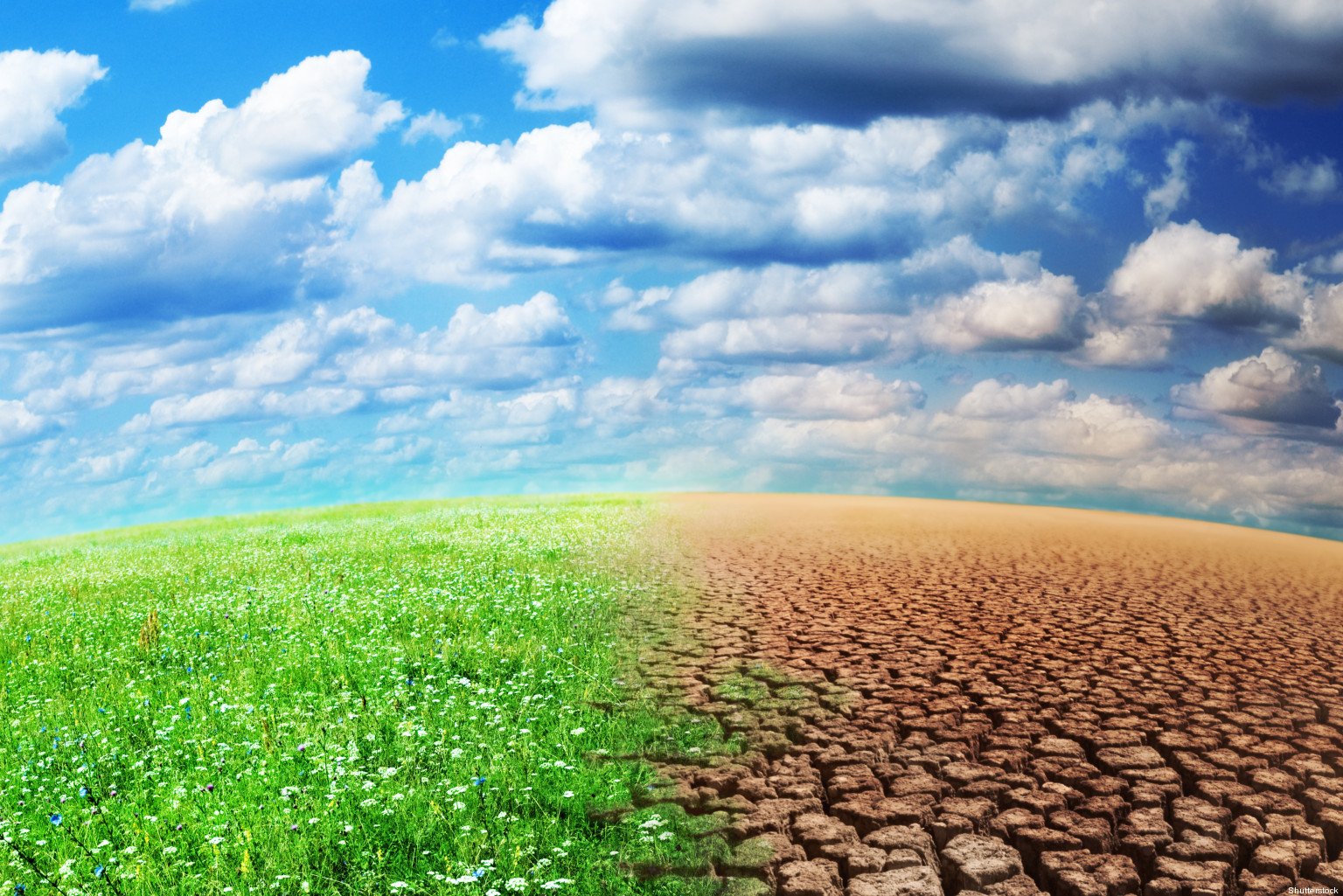 Changement climatique