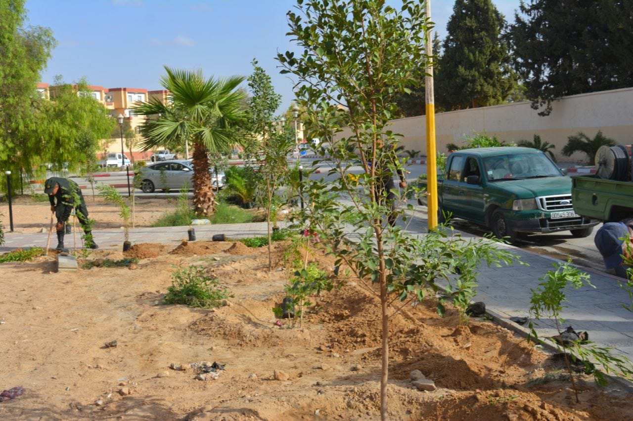 Programme de plantation de 22.000 arbustes au niveau national
