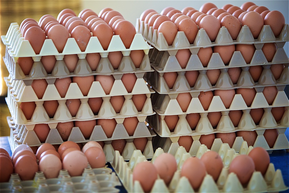 Oeufs
