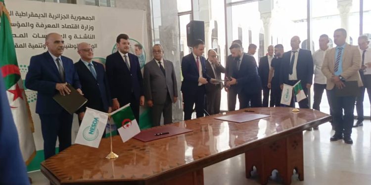 إطلاق 190 مركزا جديدا لتطوير المقاولاتية