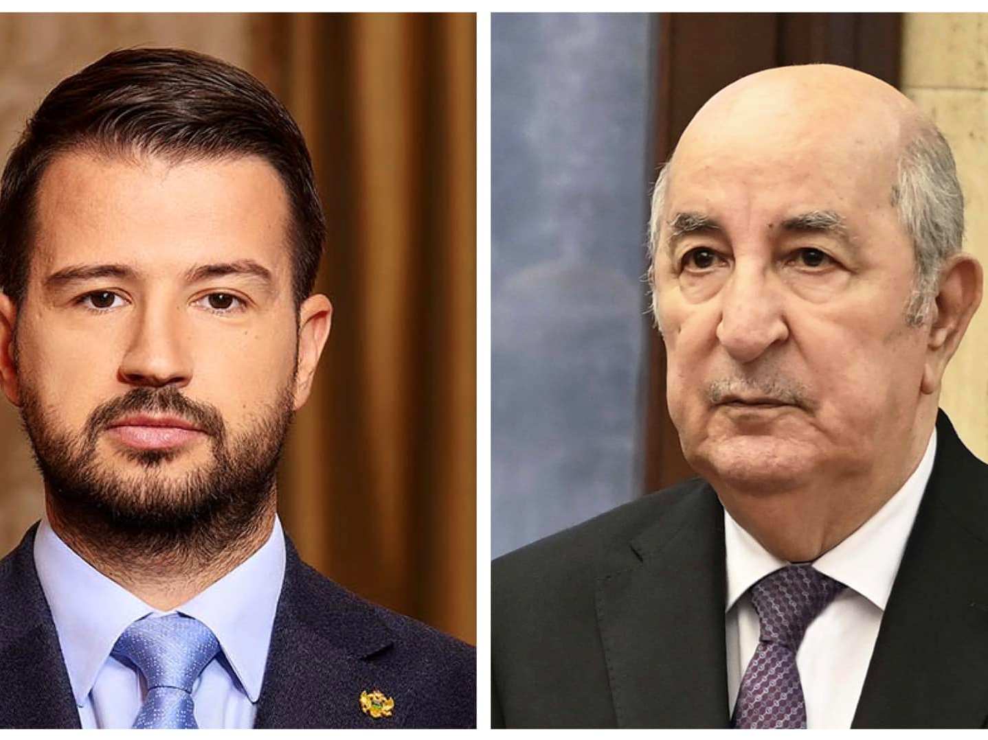 رئيس الجمهورية