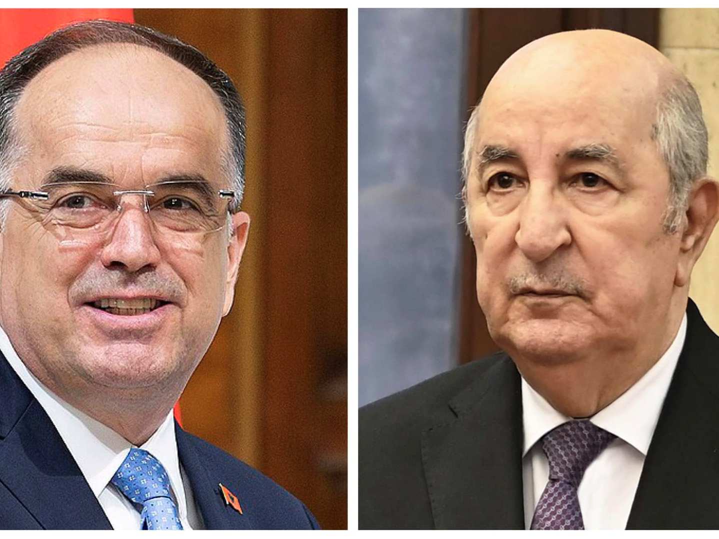 رئيس الجمهورية