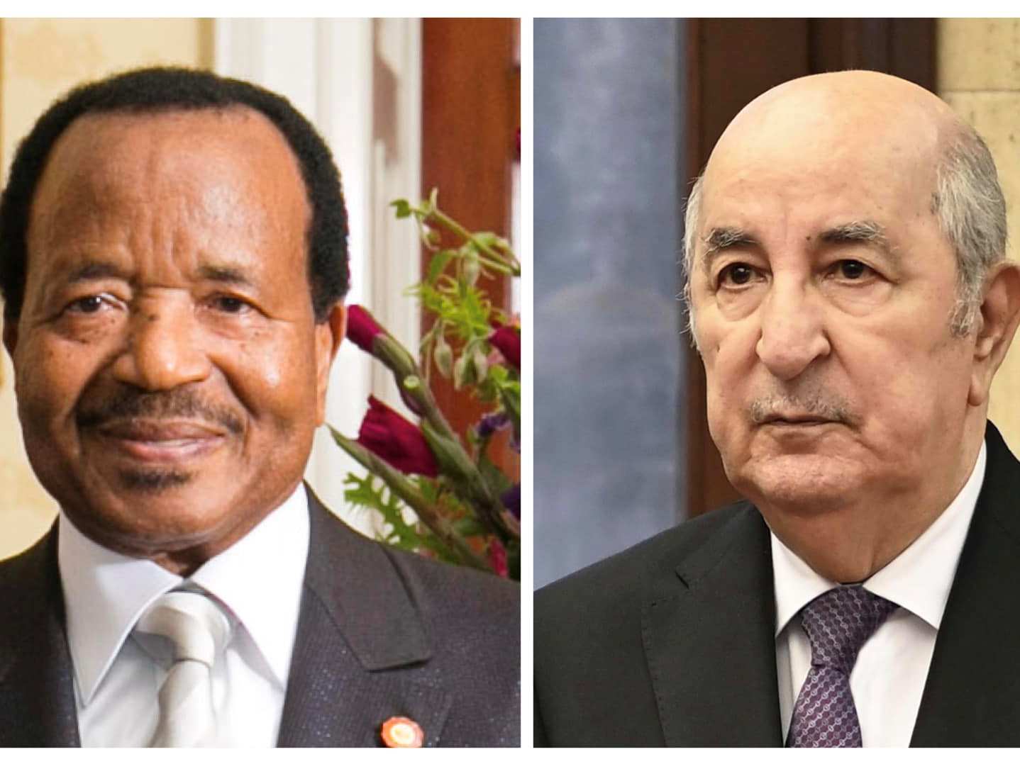 رئيس الجمهورية