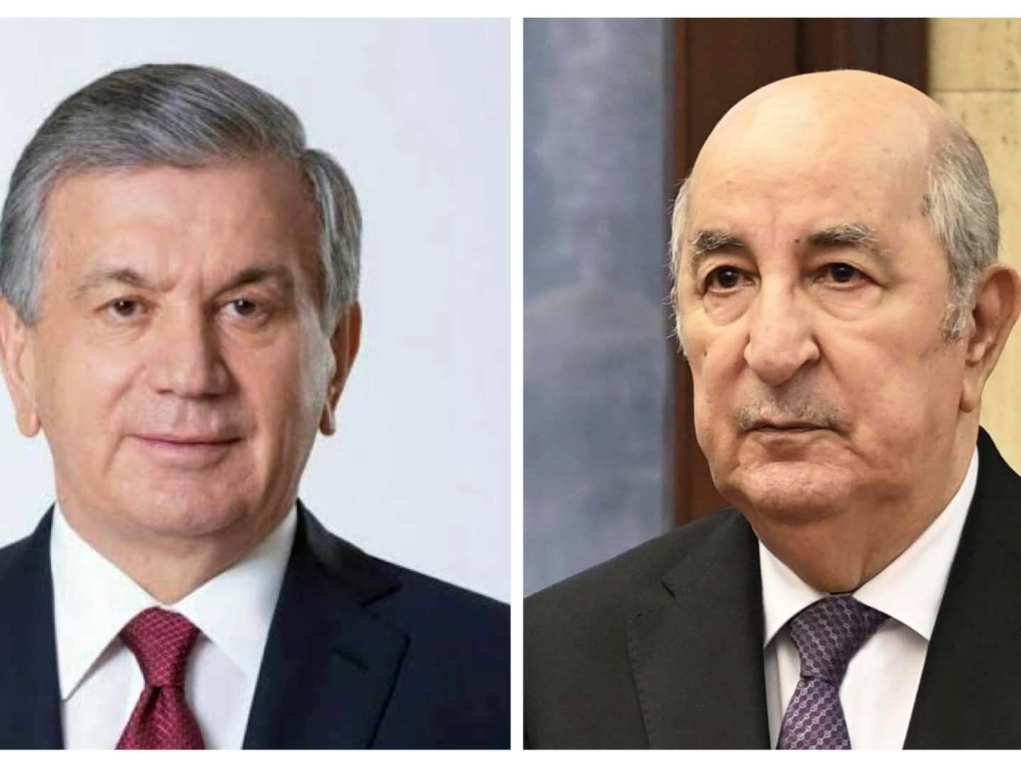 رئيس الجمهورية