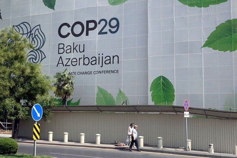 كوب 29