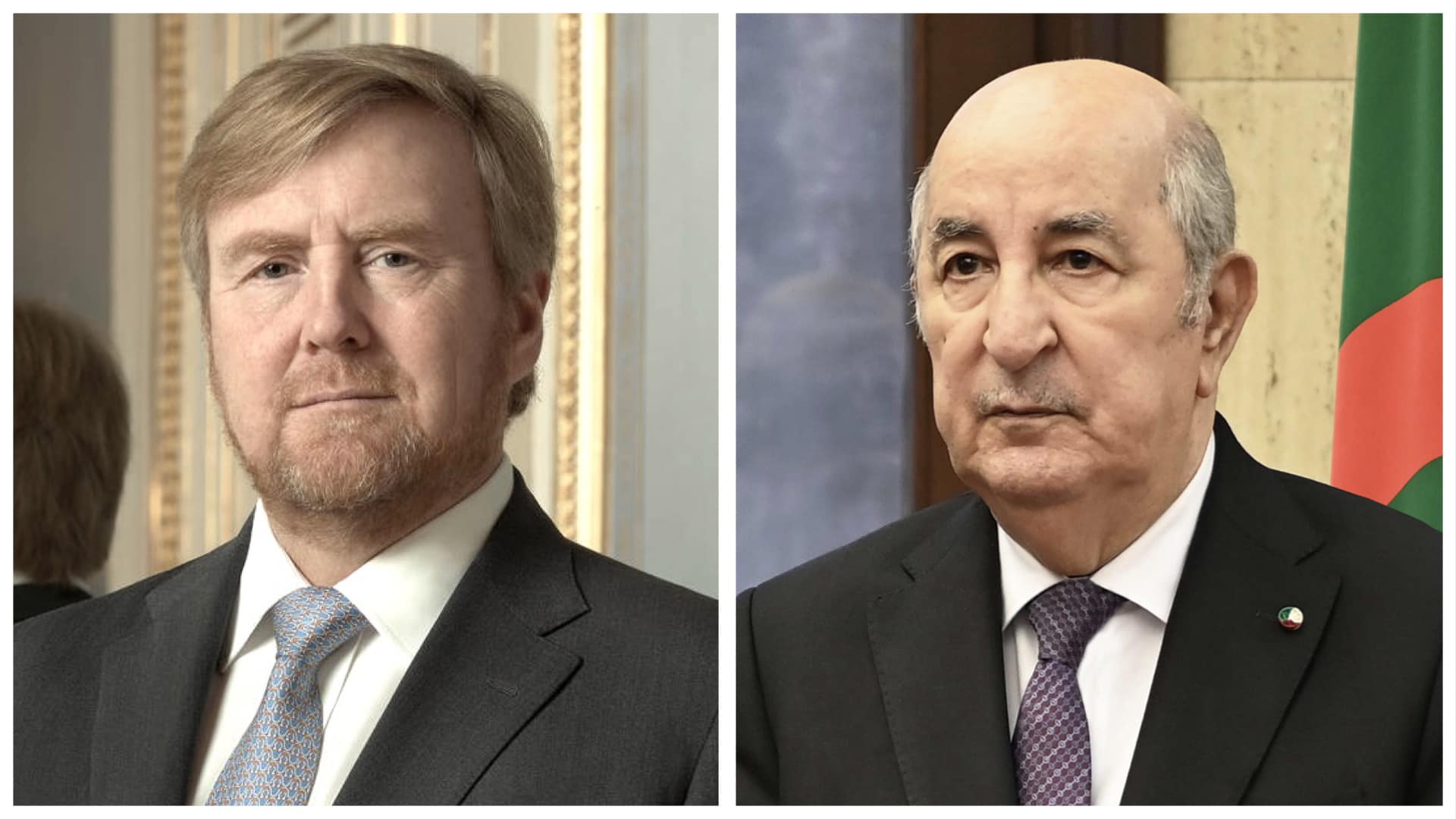 الجزائر هولندا