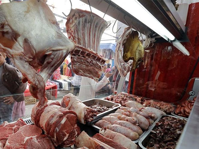 اللحوم الحمراء والبيضاء