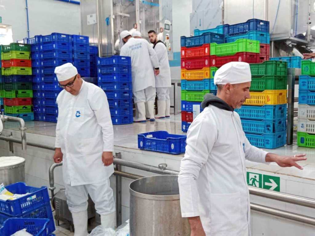 Giplait : lancement en 2025 d’une plateforme numérique de suivi de la production et de la distribution du lait