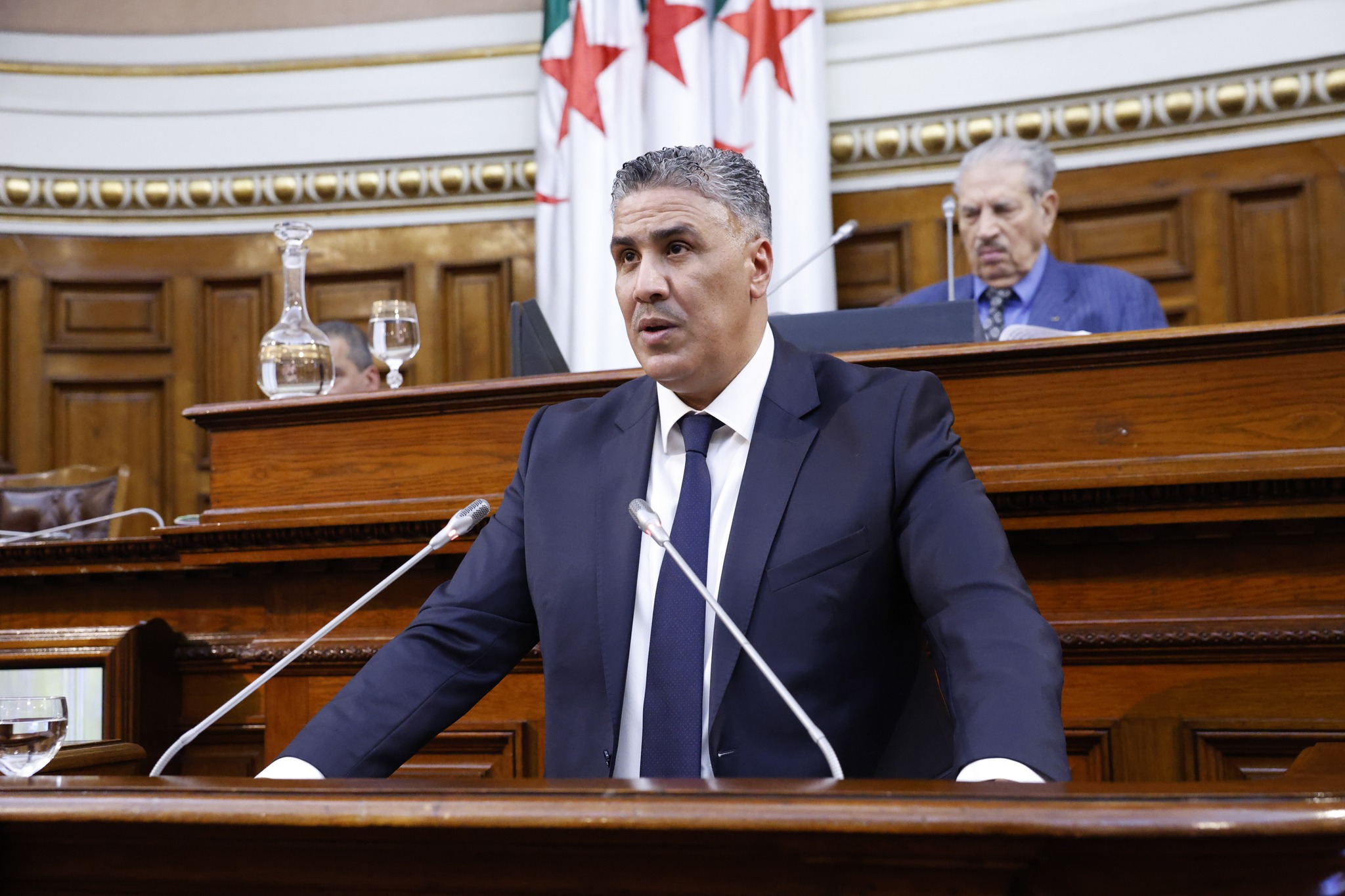 طارق بلعريبي