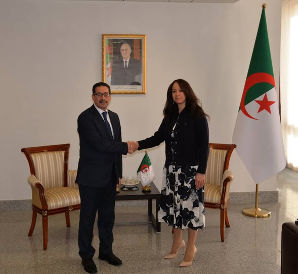 سلمة  منصوري