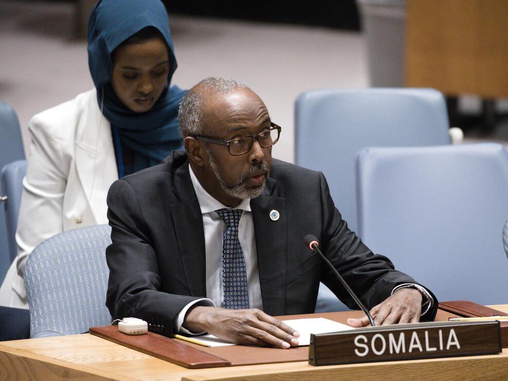 Le groupe A3+ réaffirme son soutien à un processus politique sous l'égide de l'ONU pour le règlement de la crise au Yémen