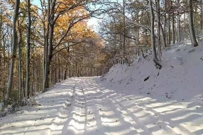 bms-neige-18.01.25.jpg