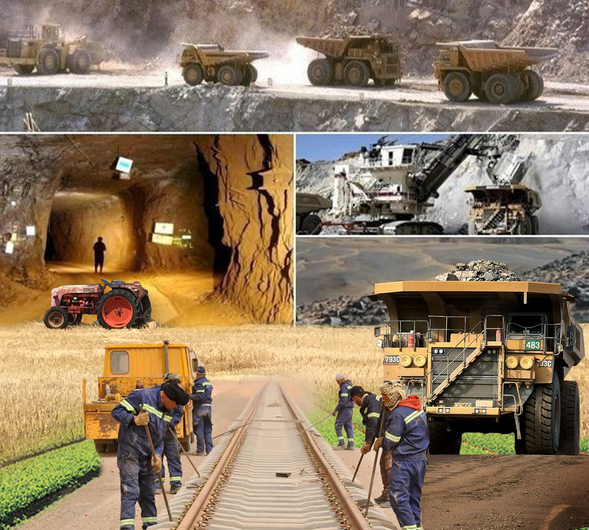 الحصاد الاقتصادي 2024