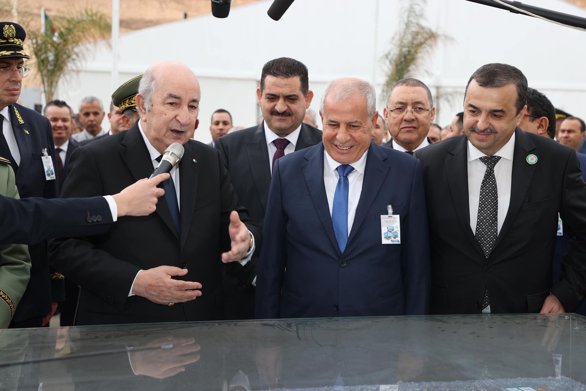 تبون