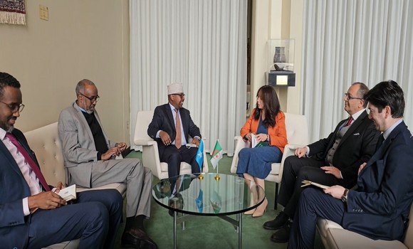 سلمة منصوري