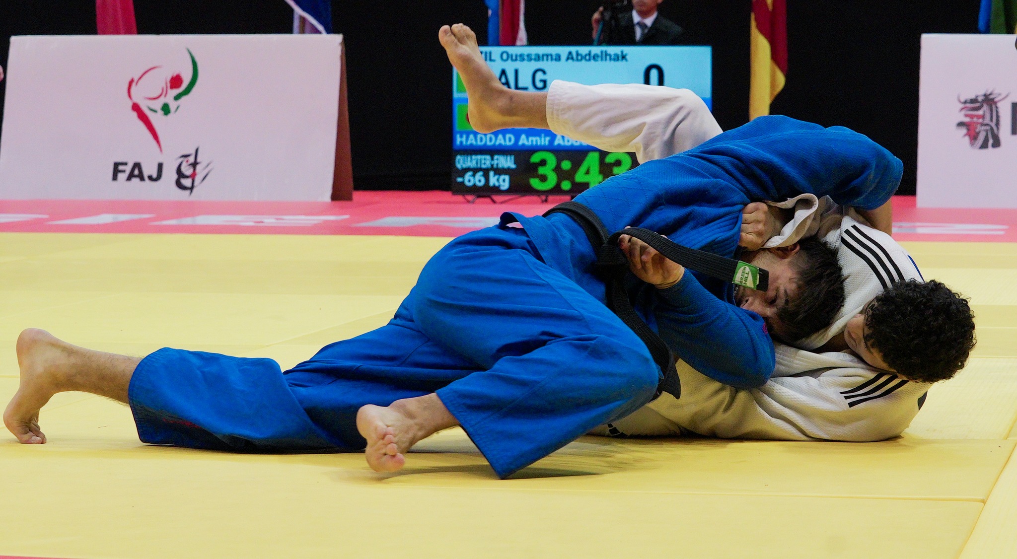 الدورة الافريقية المفتوحة للجيدو