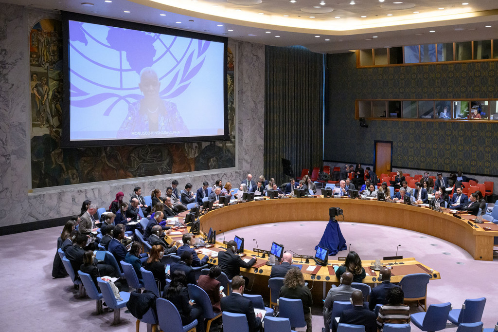 onu-rdc-22.02.25.jpg