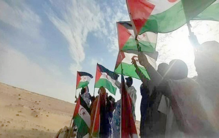 sahara_occidental-27.02.25.jpg