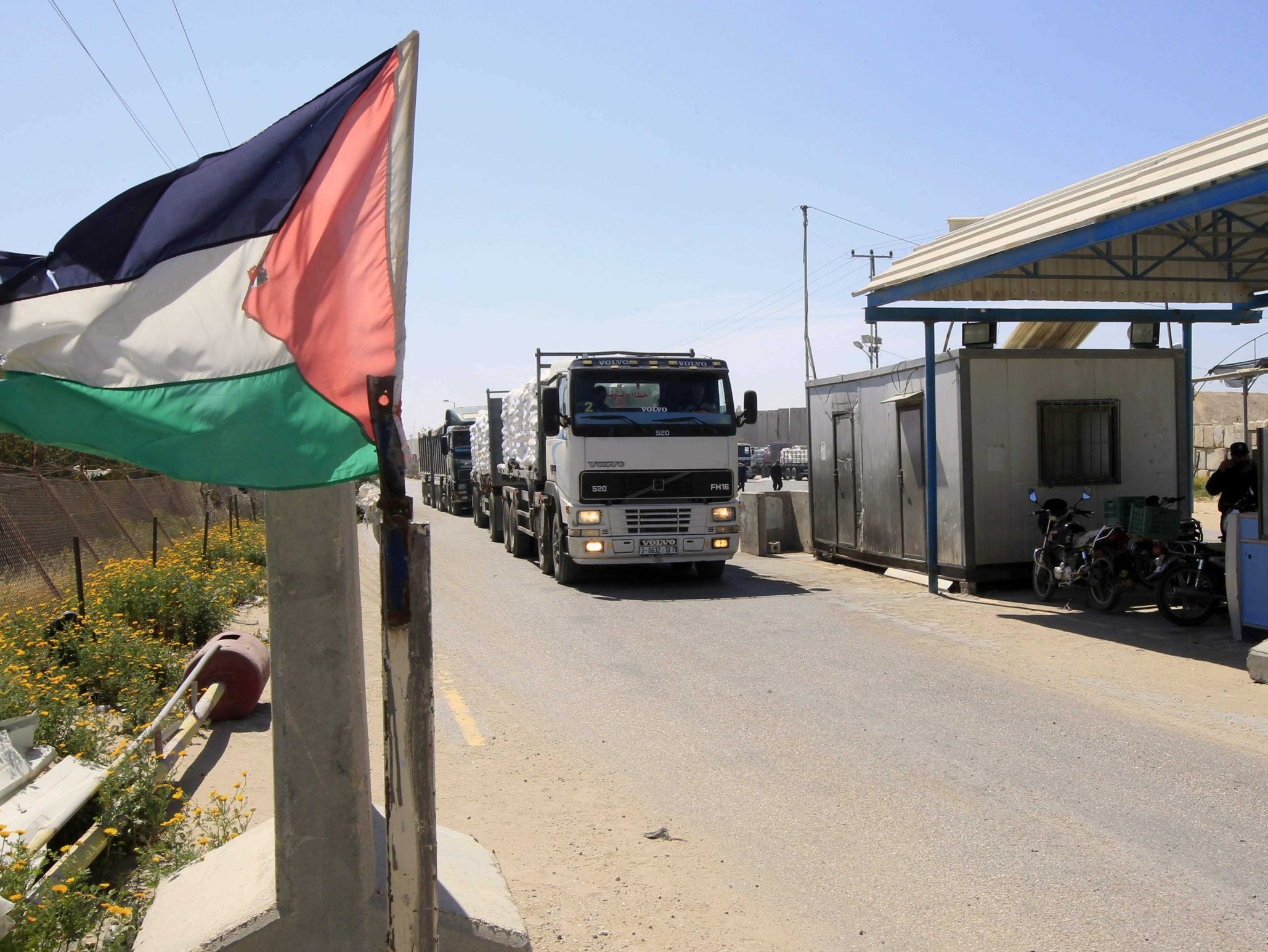 فلسطين
