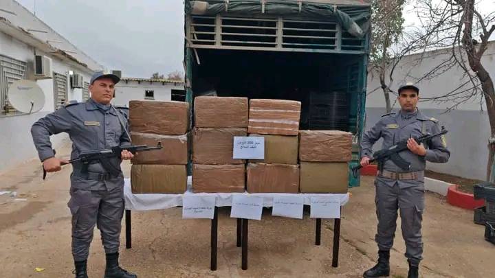 الجمارك تحجز 3 قناطير من الكيف المعالج في تيارت