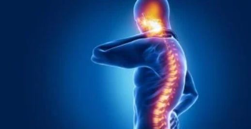 الحبل الشوكي