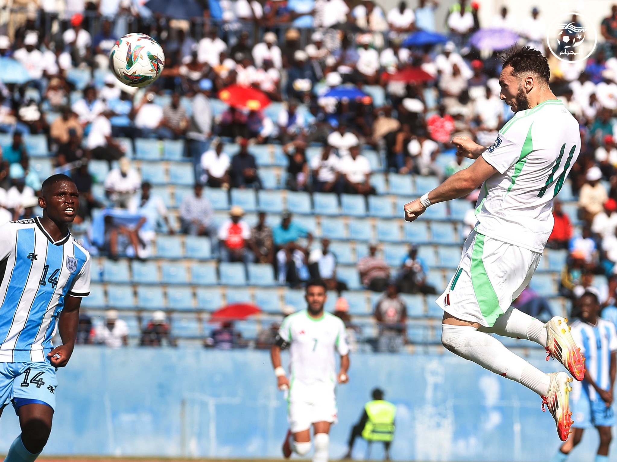 Equipe nationale de football