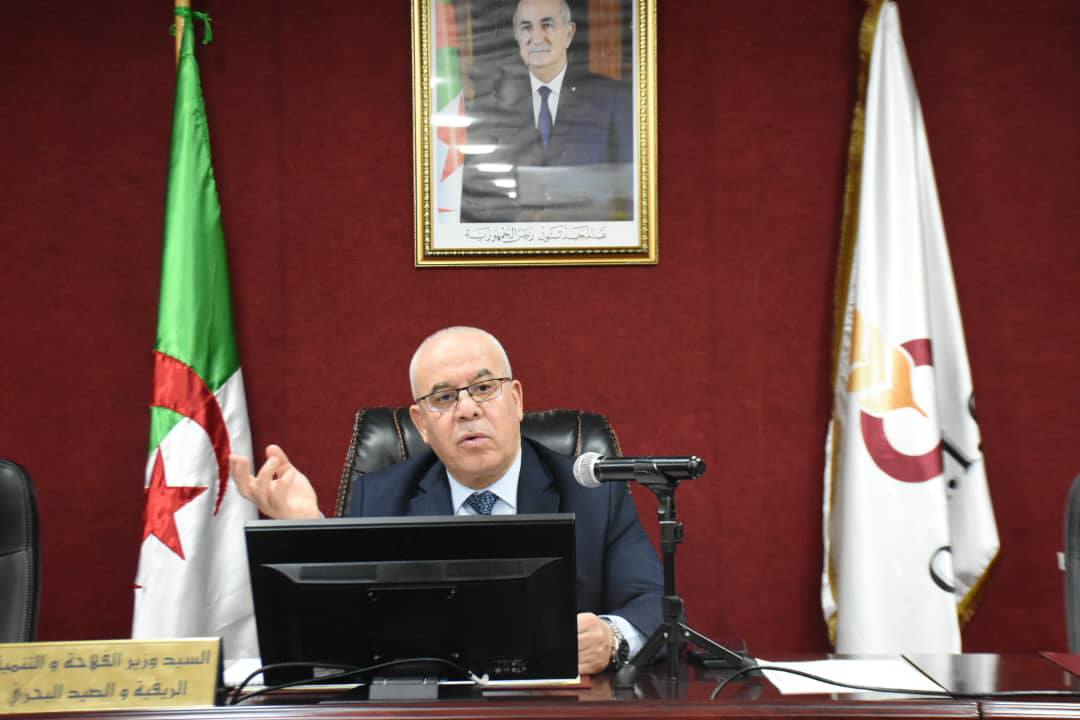 الوضع المتعلق بأسراب الجراد  "تحت السيطرة"