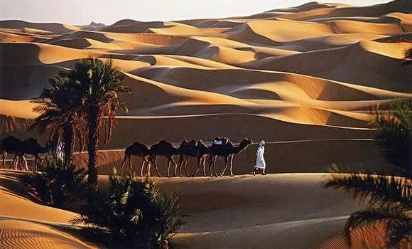 HTT Adrar
