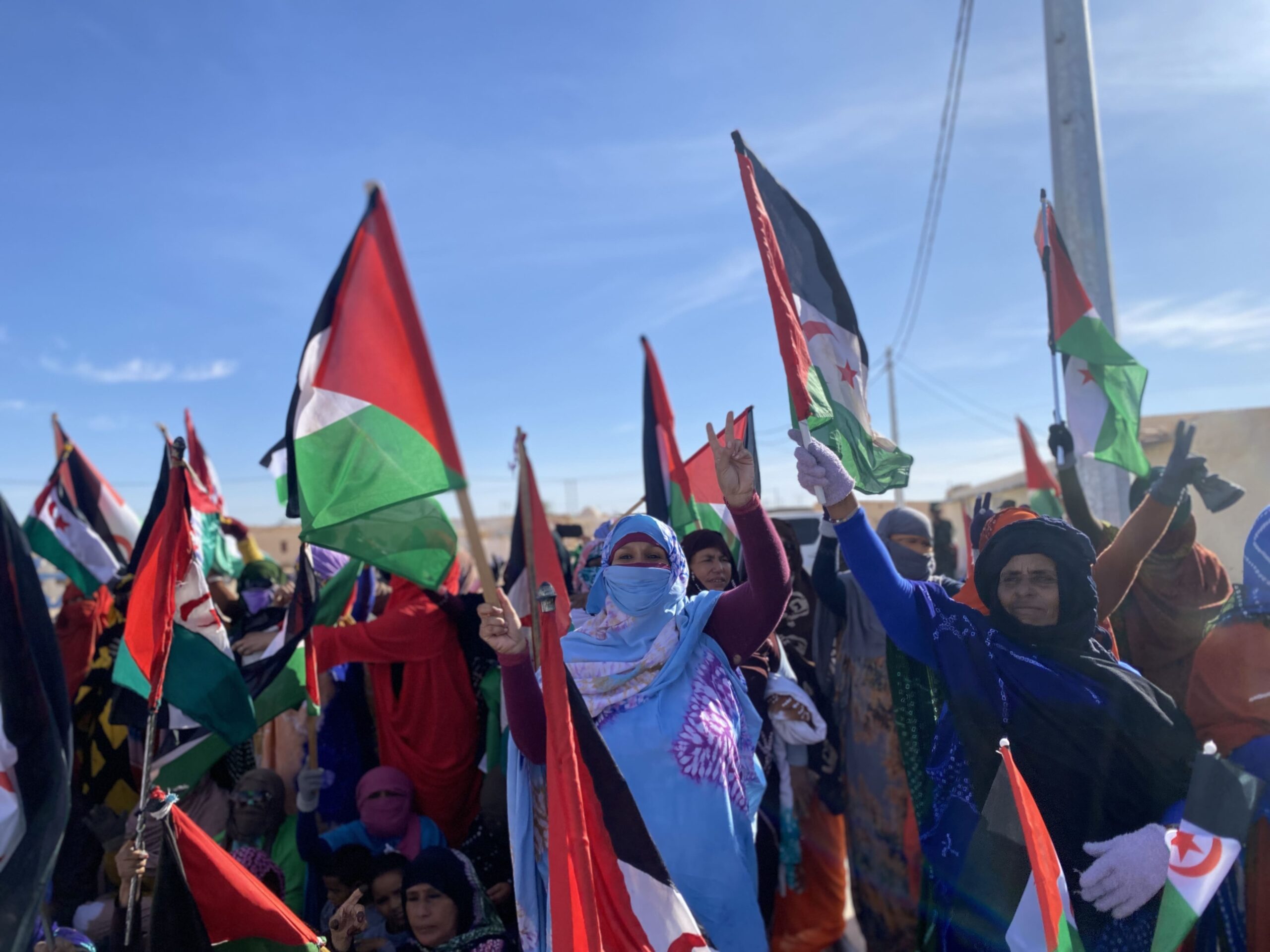 ضرورة إرسال بعثات مراقبة دولية إلى الصحراء الغربية