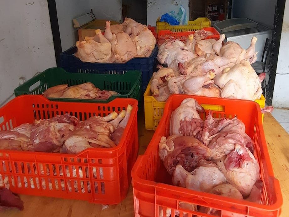 Viandes blanches impropres