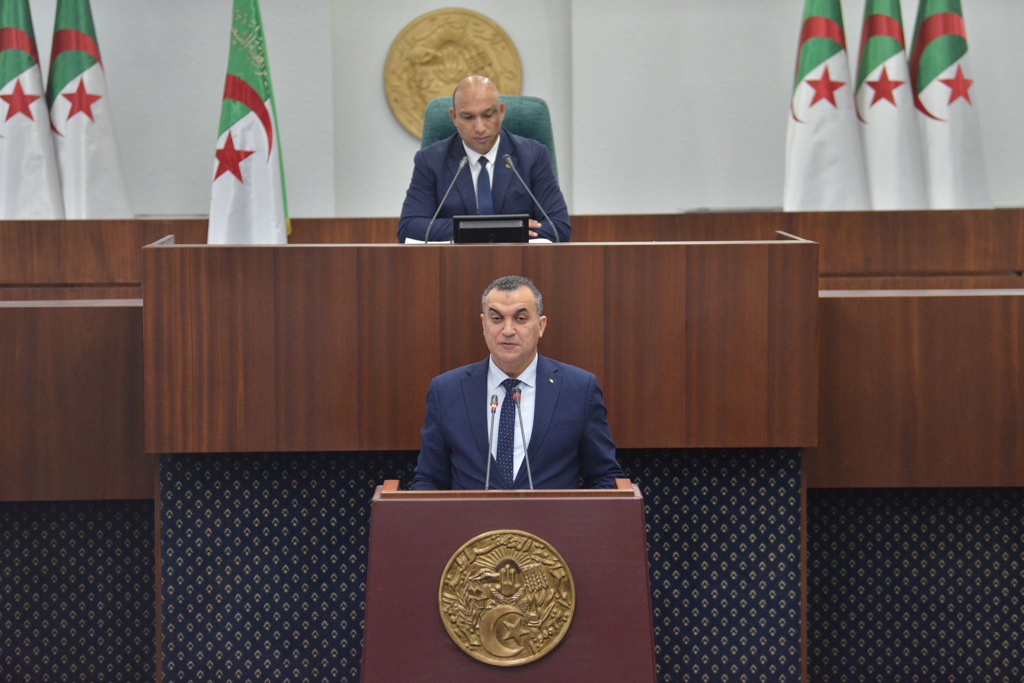 سيد علي زروقي