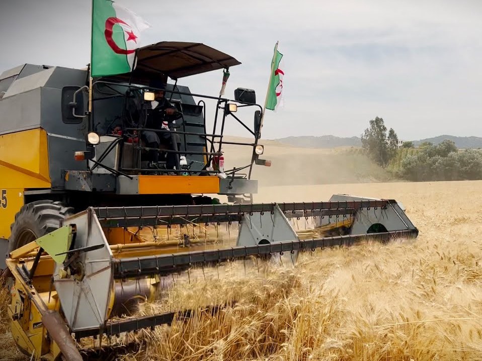 Campagne moisson-battage 2024-2025 : Cherfa insiste sur une action proactive et de proximité pour assurer la réussite de l’opération