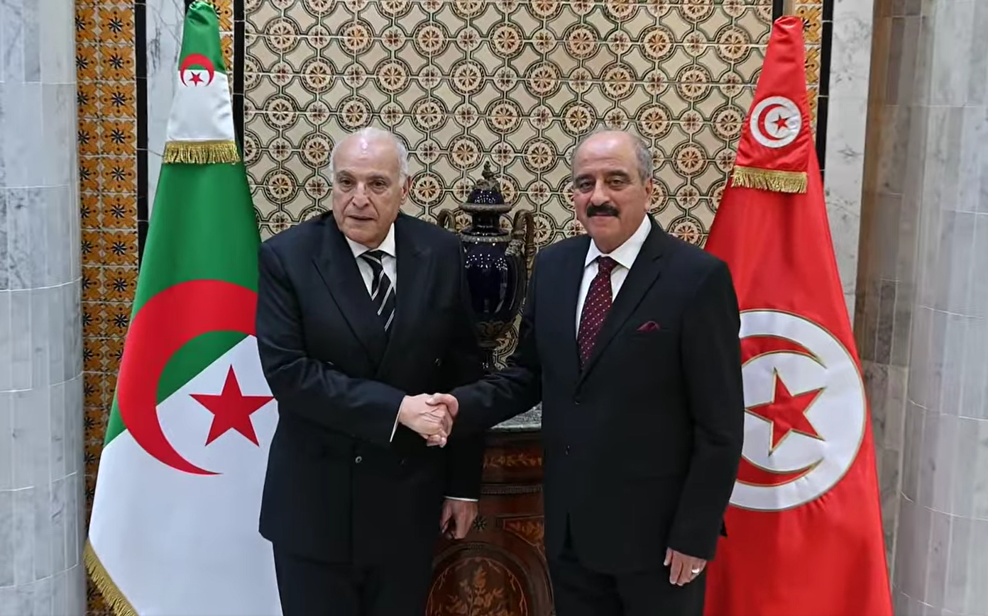 وزير الخارجية عطاف