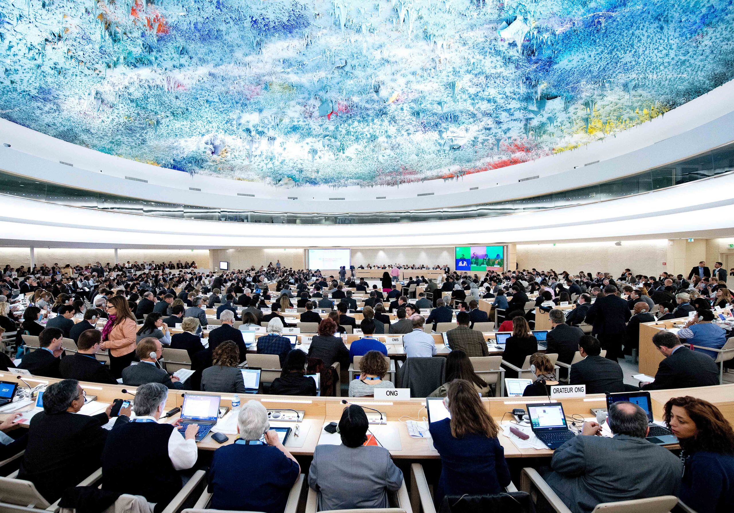 Conseil des droits de l'Homme des Nations Unies