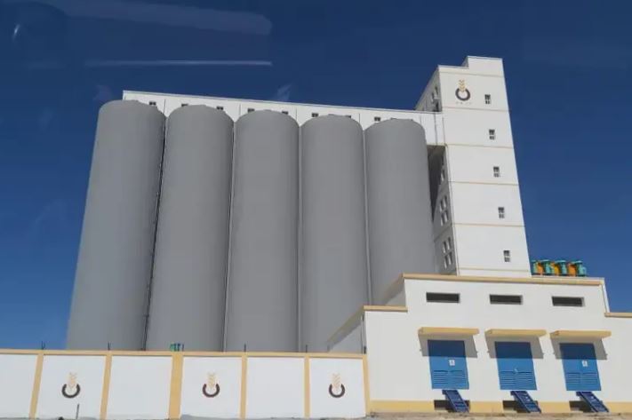 تخزين الحبوب