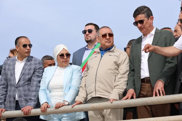 مراد
