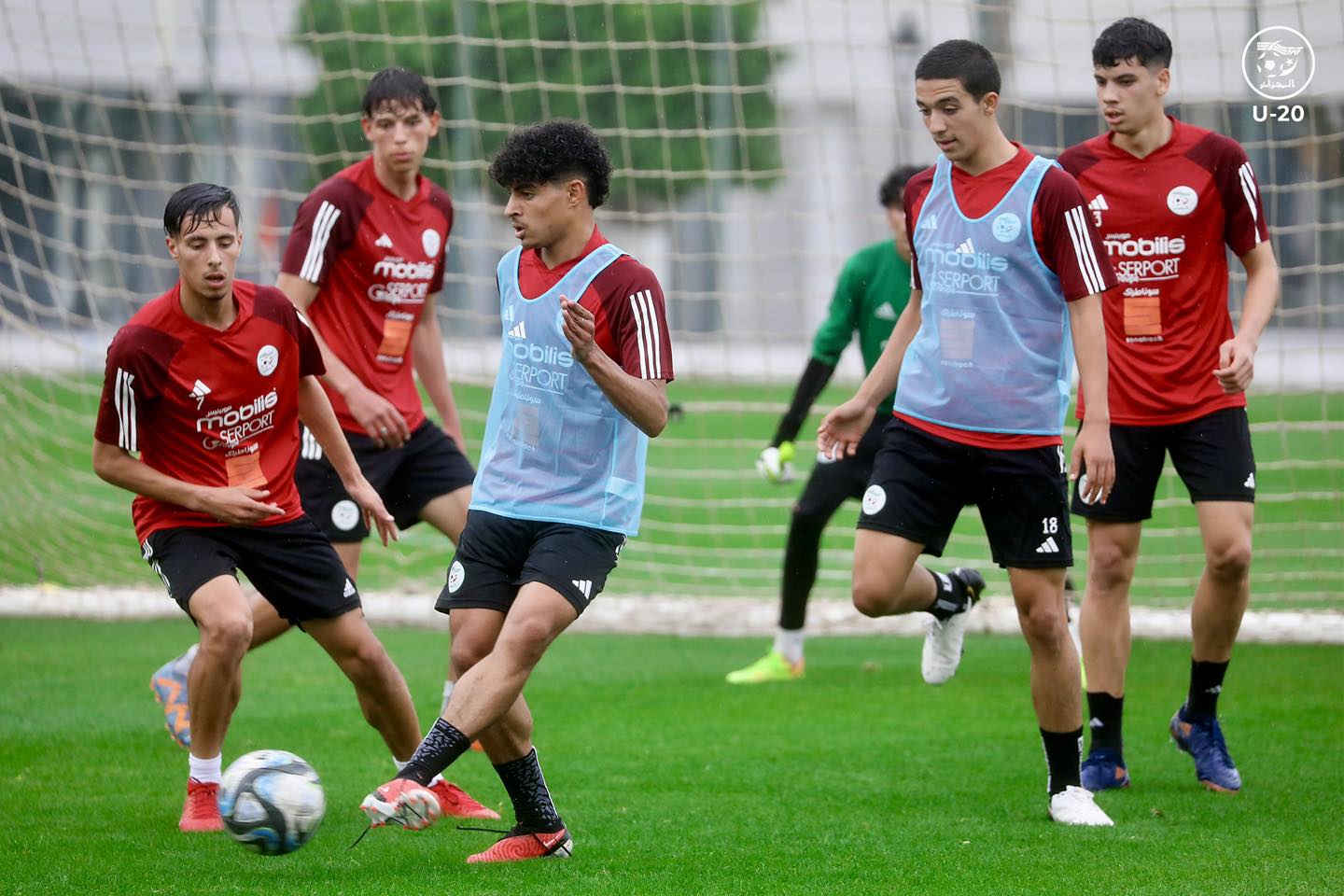 المنتخب الوطني