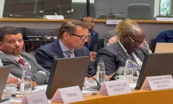 الجمهورية الصحراوية تبرز ببروكسل الترابط الوثيق بين السلام والعدالة والتنمية