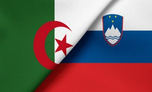 Algérie Slovénie
