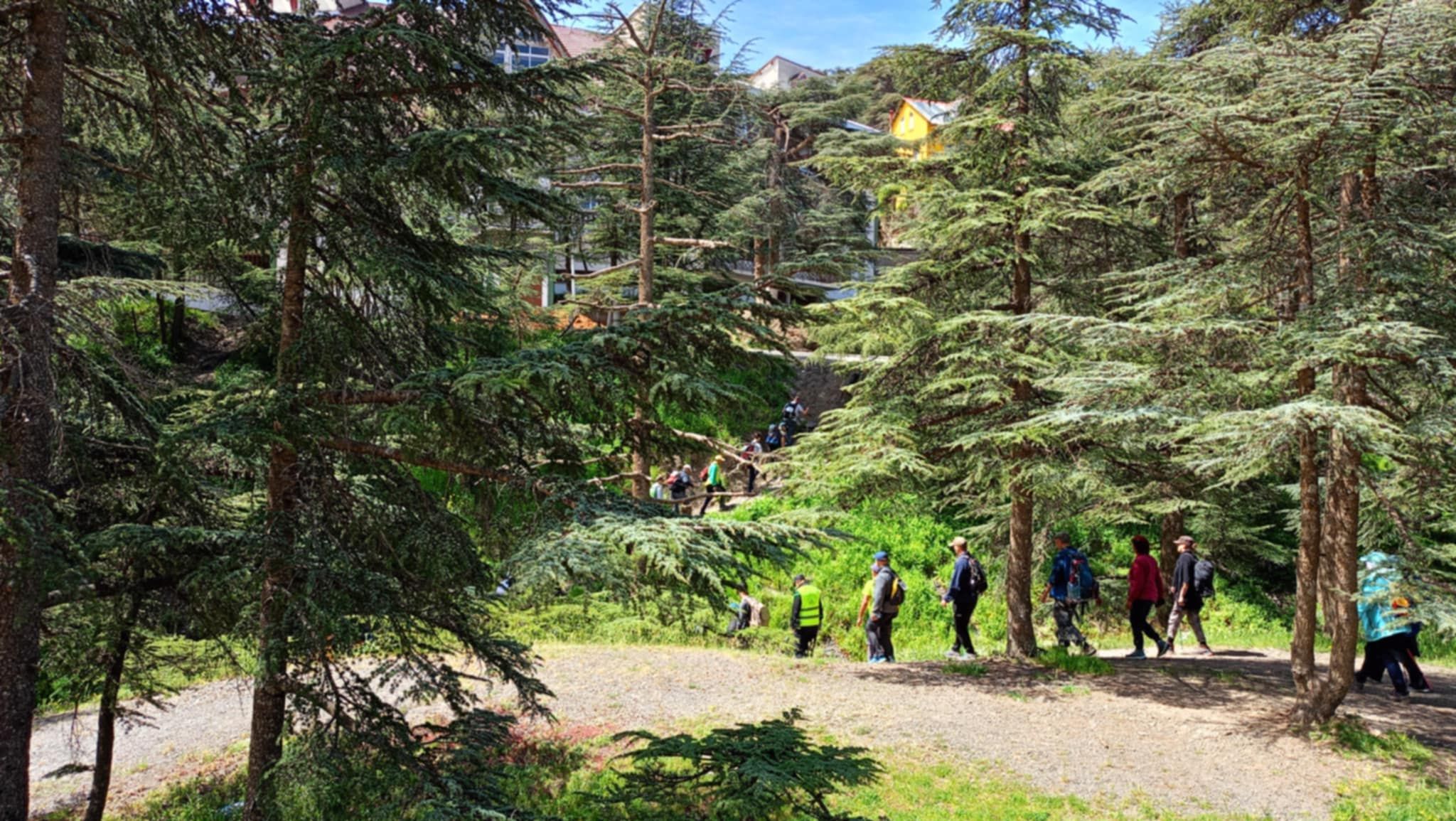 blida-chrea-randonnee.jpg