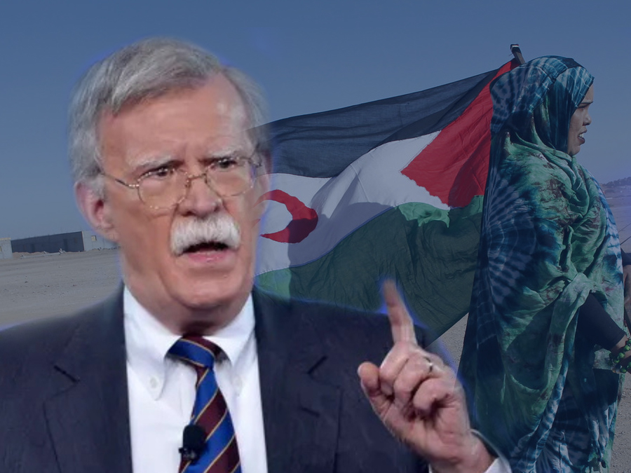 جون بولتون  القضية الصحراوية