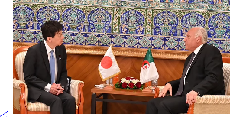 هيساشي ما تسوموتو