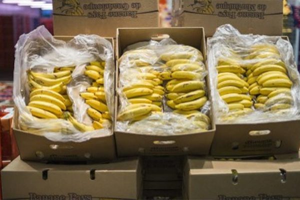 importations-bananes.jpg