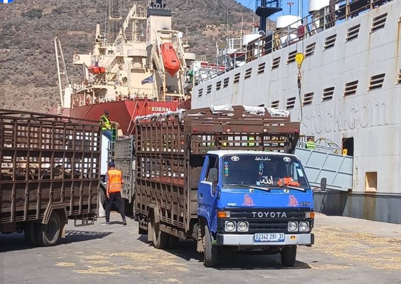 عيد الأضحى وهران