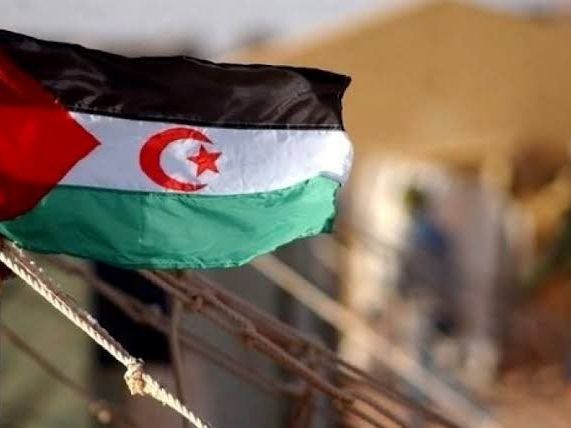 الدورة 59 لمجلس حقوق الانسان، تصفية الاستعمار من الصحراء الغربية