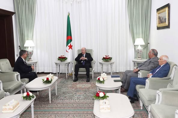 تبون