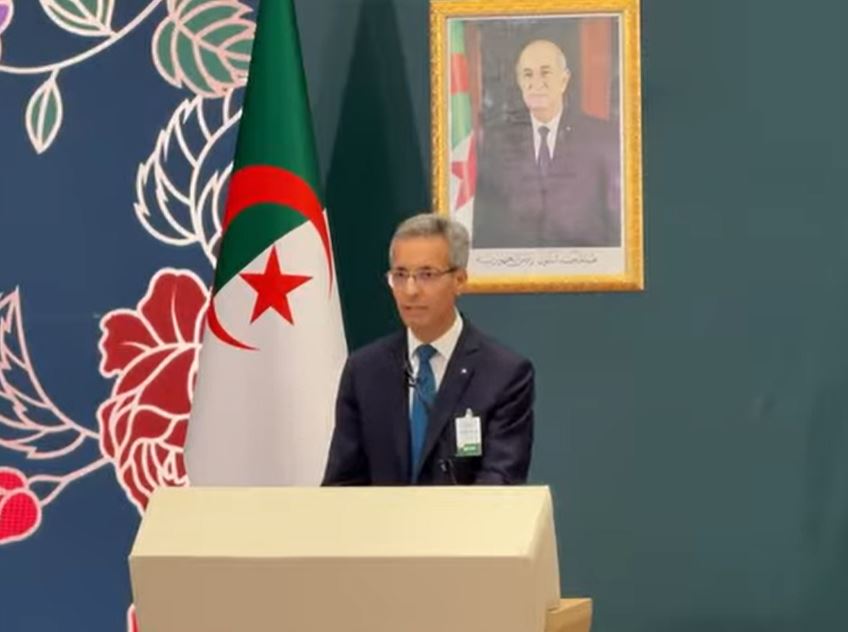 وزير الثقافة والفنون زهير بللو