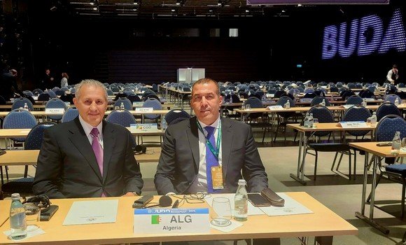 إعادة انتخاب الجزائري محمد مريجة في المكتب التنفيذي للاتحاد الدولي للجيدو