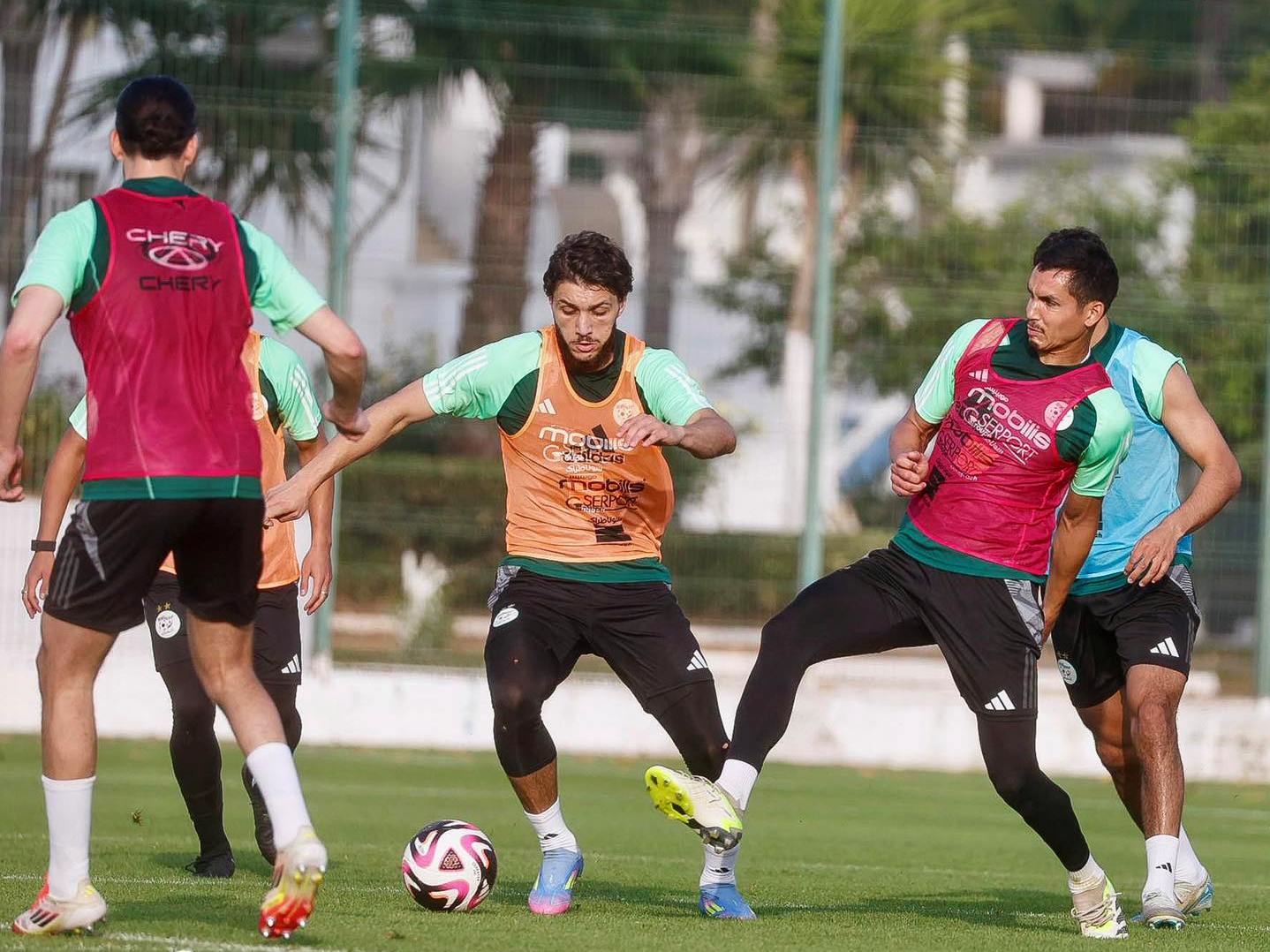 Les Verts peaufinent leur préparation avant d'affronter la Suède
